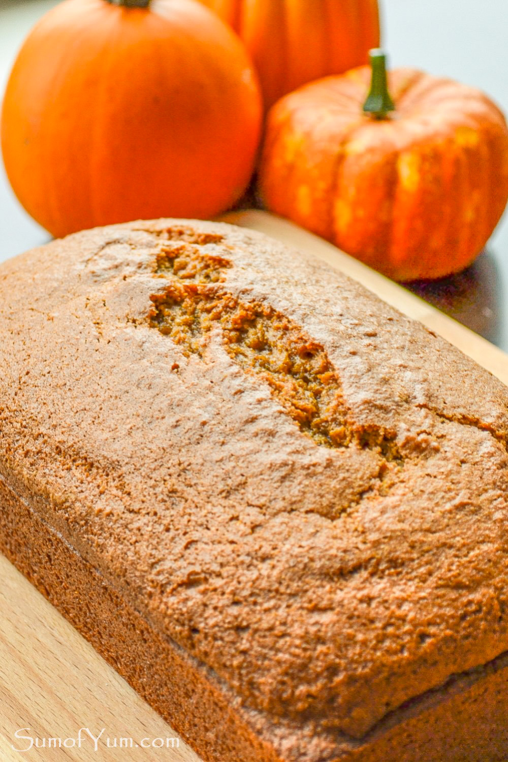Pumpkin Bread Loaf