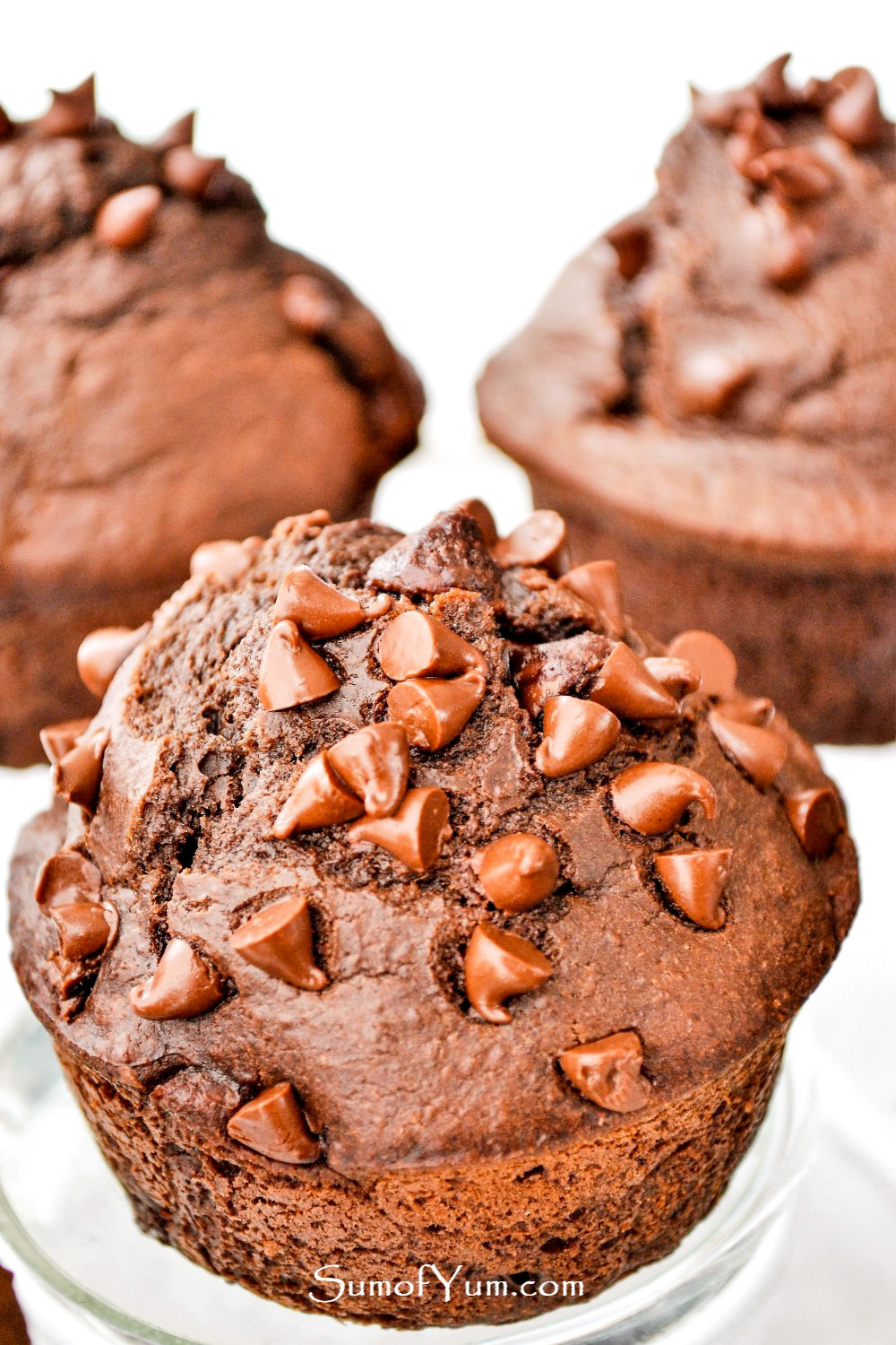 Double Chocolate Muffins 