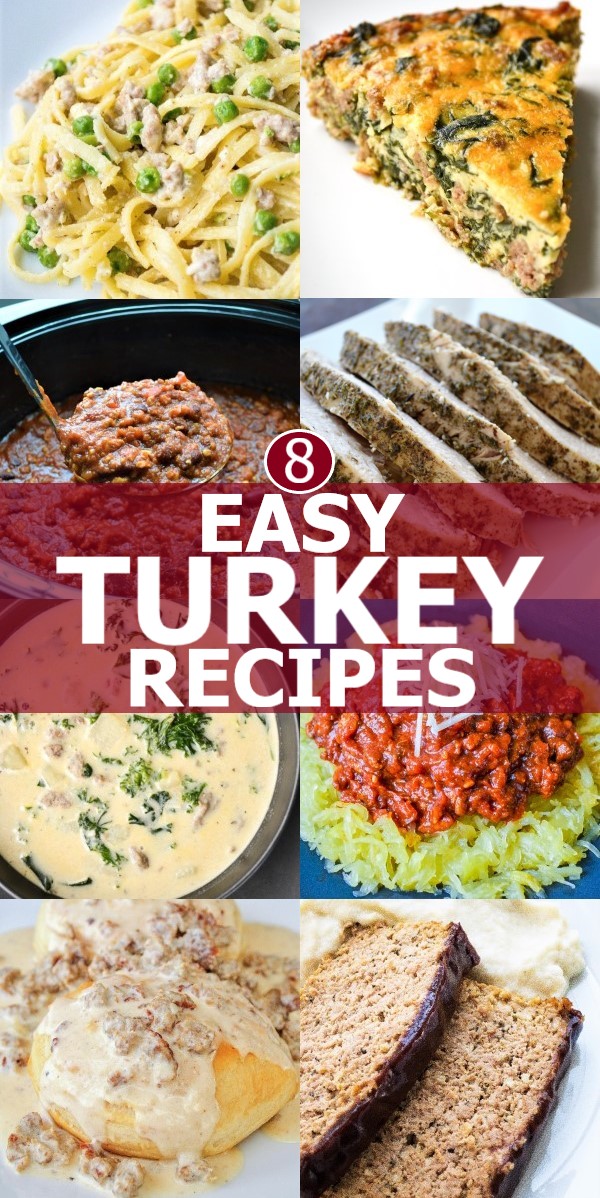 8 Easy Turkey Recipes