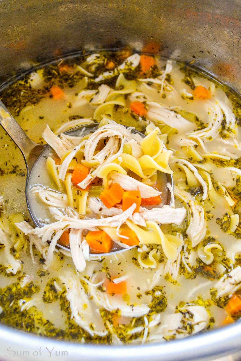 Homemade Chicken Noodle Soup Recipe {Instant Pot}