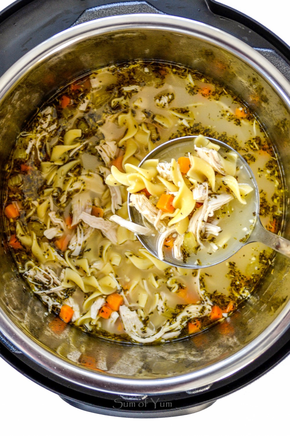 Chicken Noodle Soup in Instant Pot