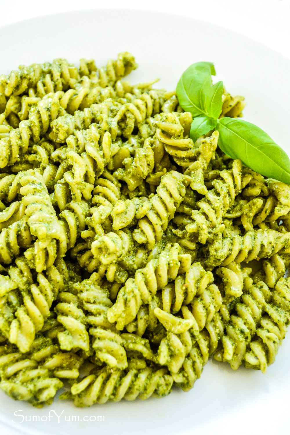 Vegan Pesto Pasta with fresh basil