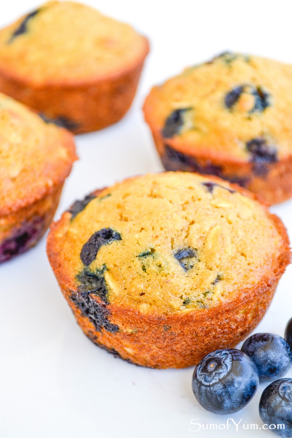 Blueberry Oatmeal Muffins with fresh blueberries