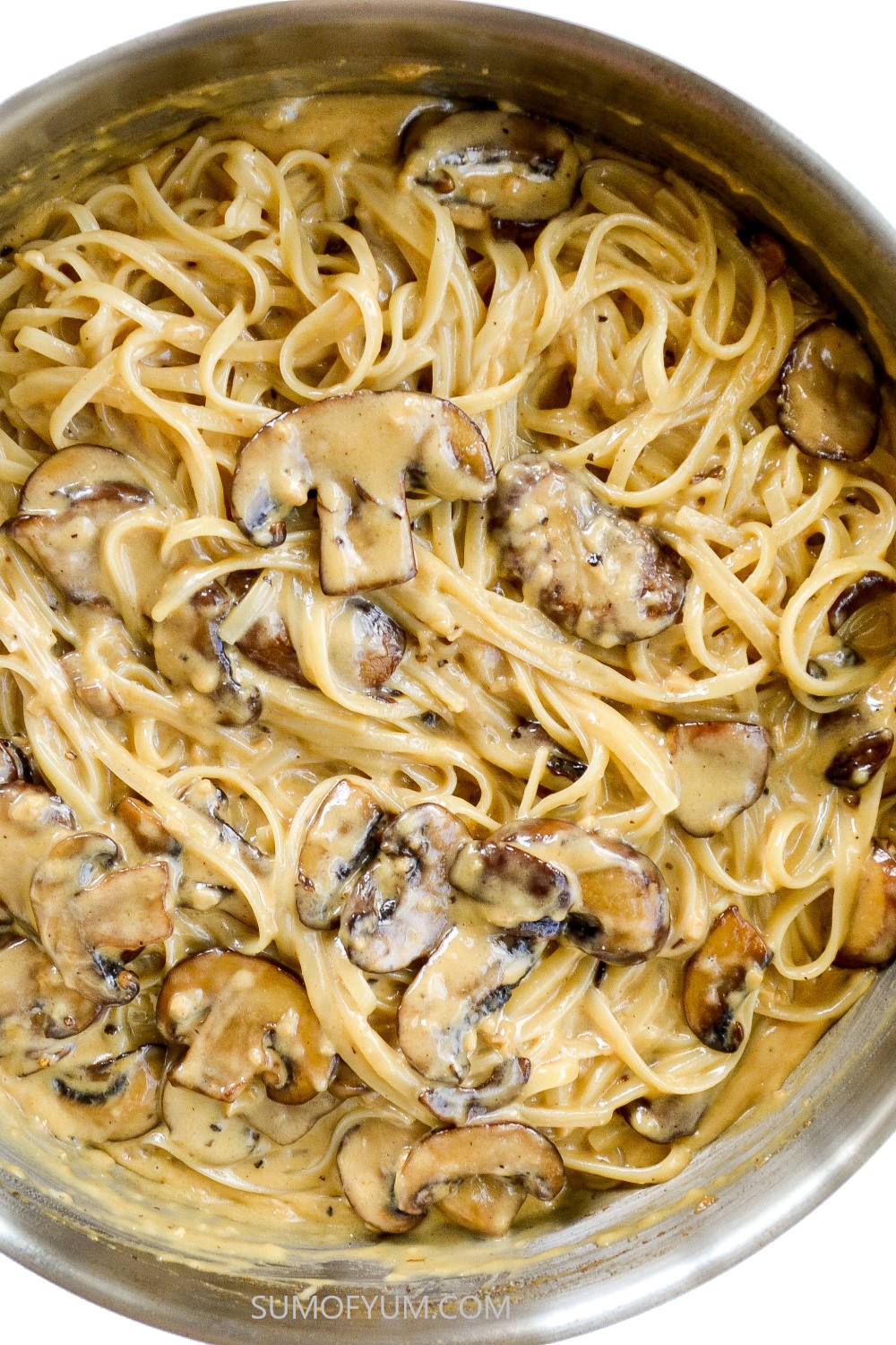 Mushroom pasta with Alfredo sauce in pan