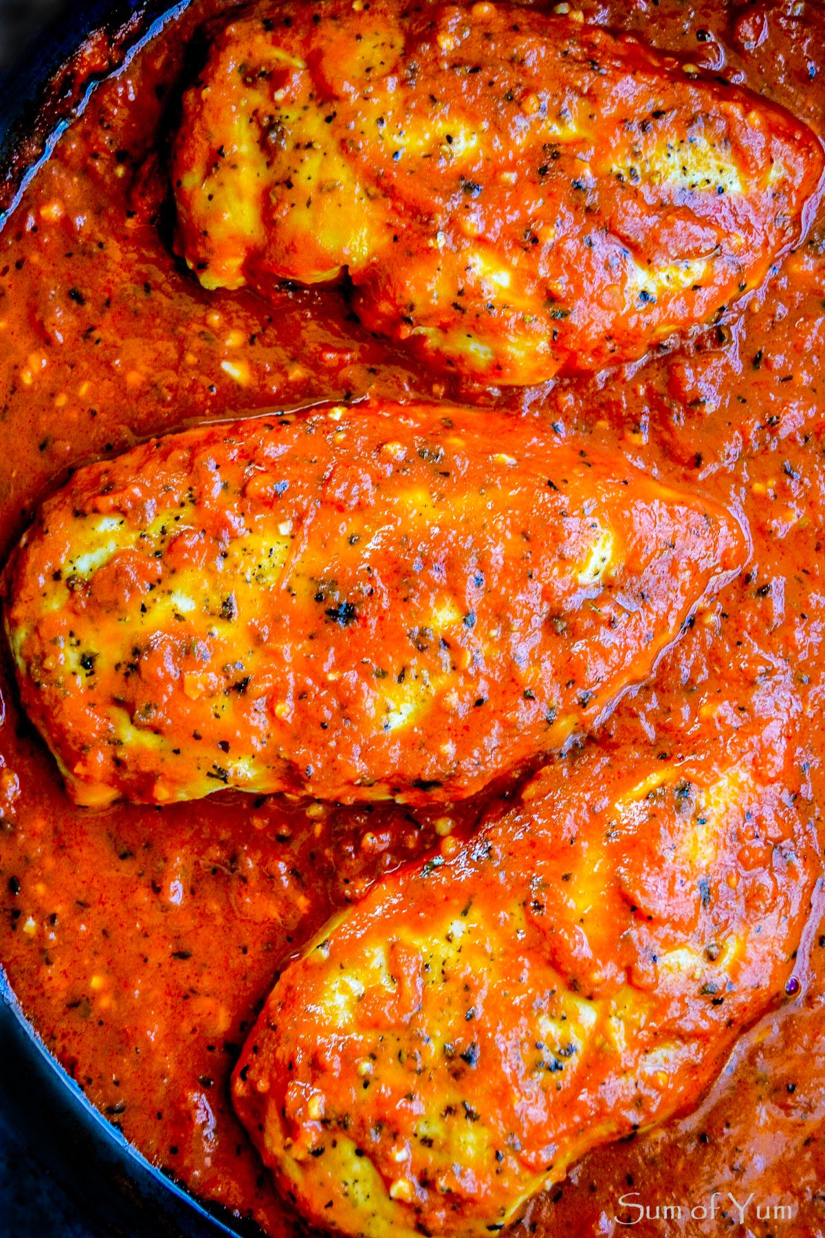 Skillet Chicken in Garlic Tomato Sauce 