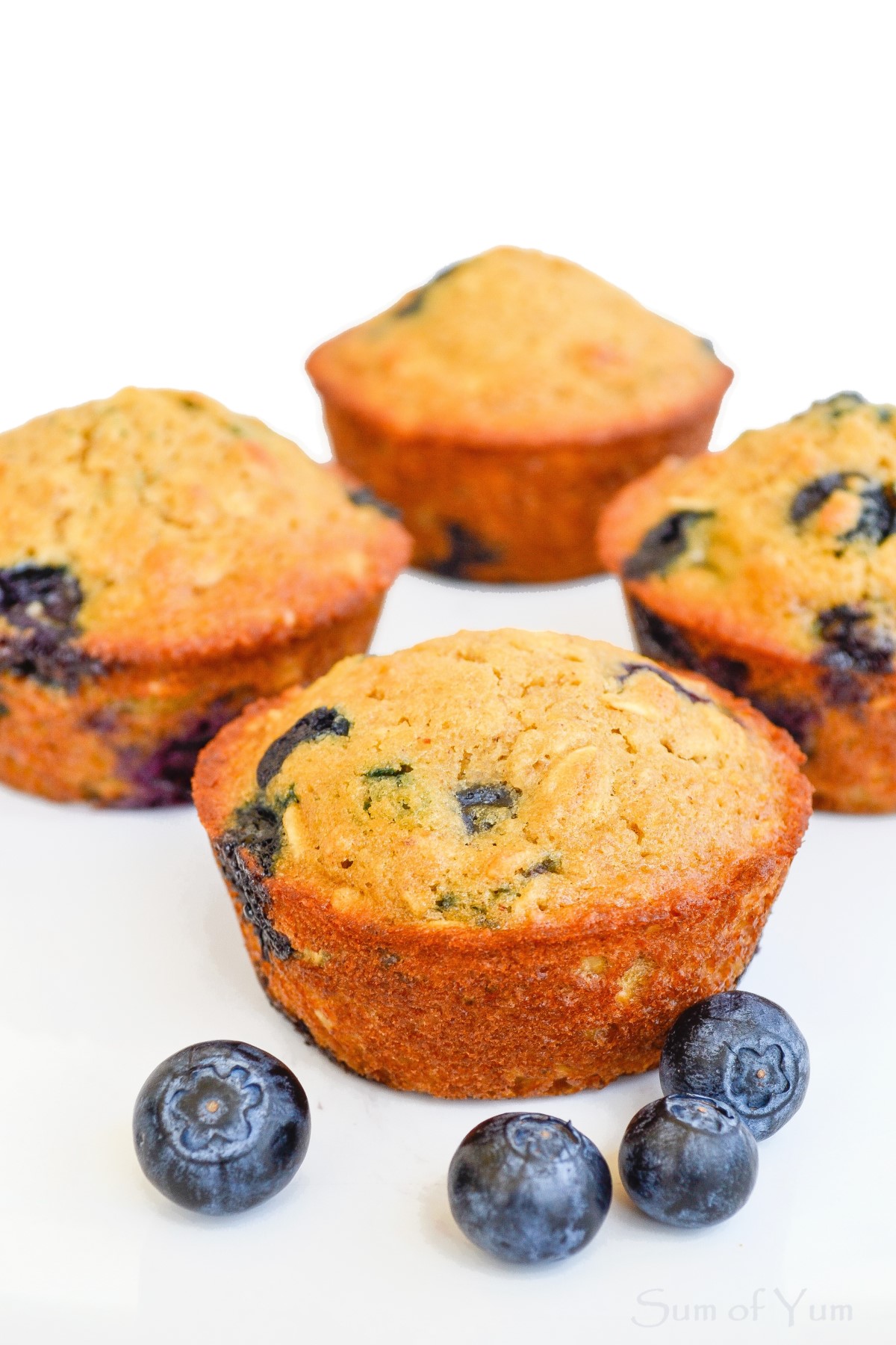 Healthy Breakfast Muffins {Blueberry & Oat}