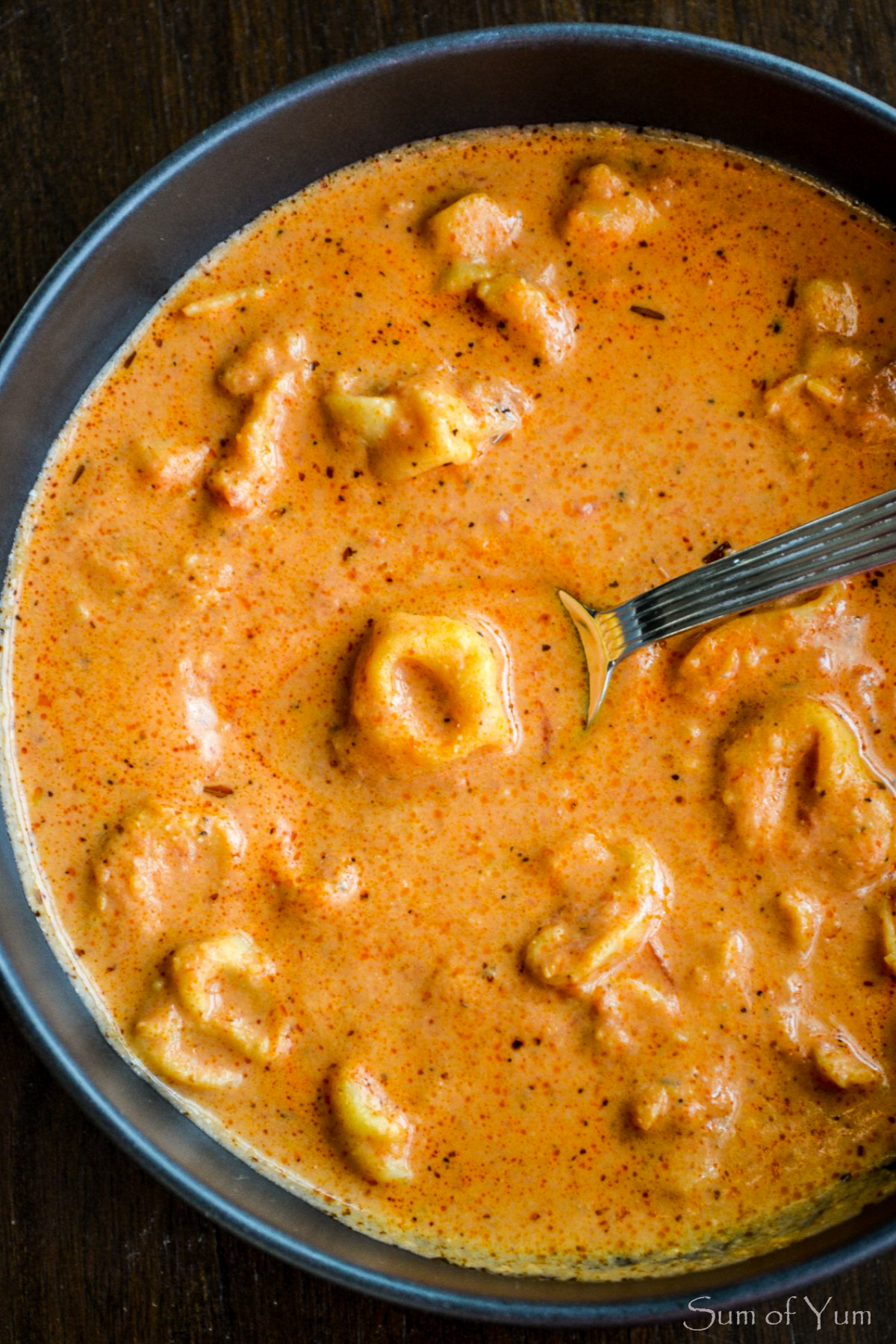 Creamy Tomato Tortellini Soup (Instant Pot Recipe) - Sum of Yum