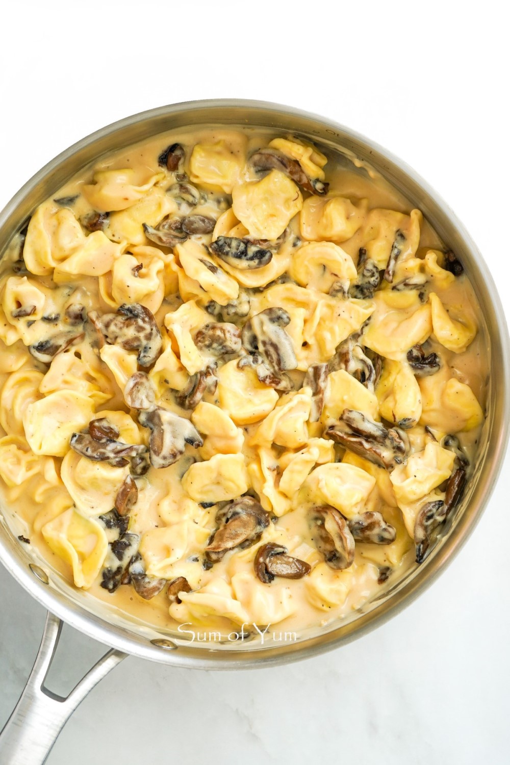 Tortellini with Sautéed Mushrooms and Cream Sauce in pan