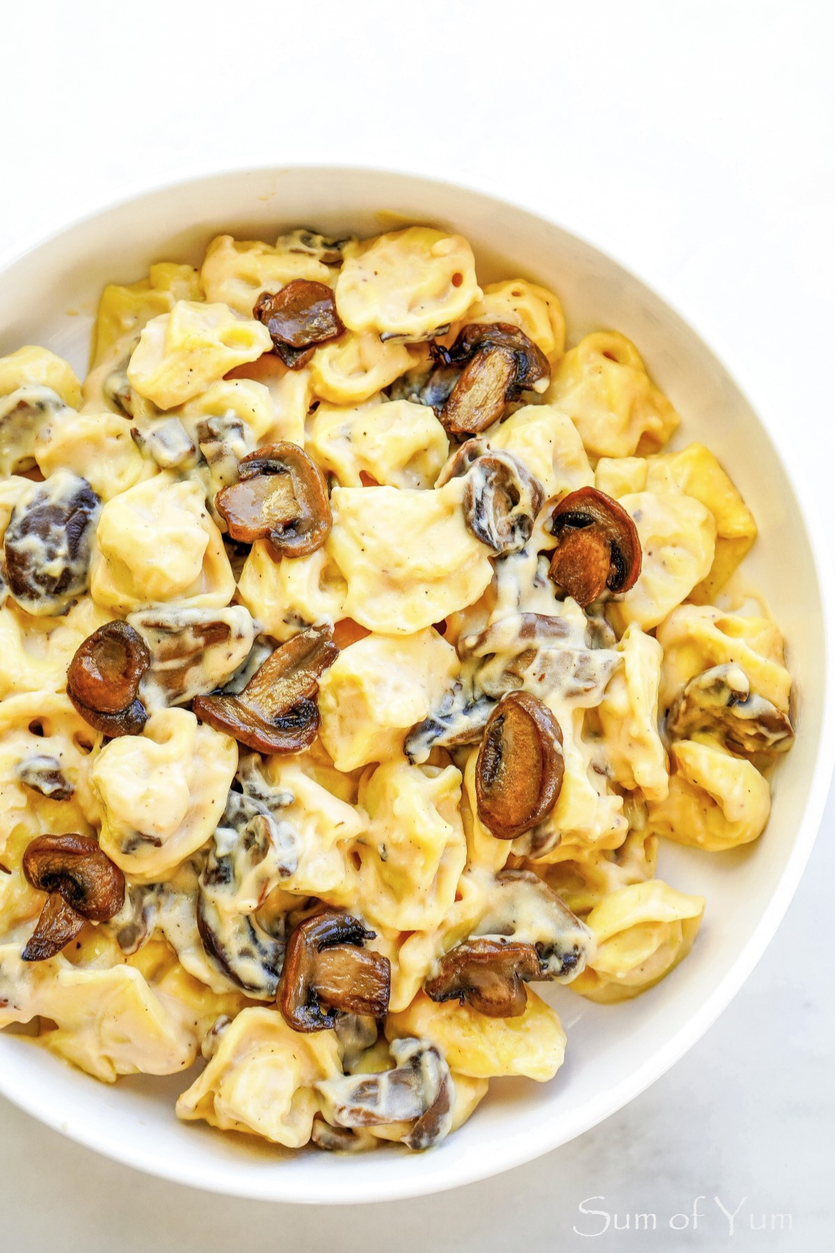 Creamy Mushroom Tortellini is mouthwateringly delicious! (2022)