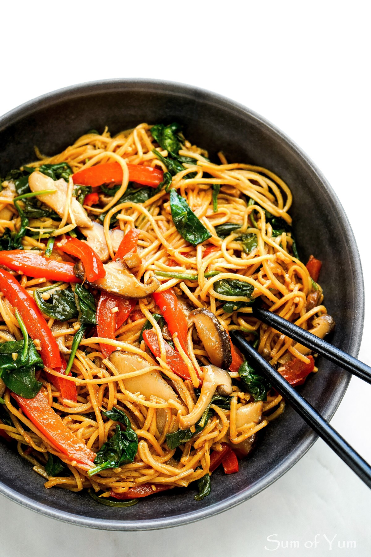 Low Carb Lo Mein