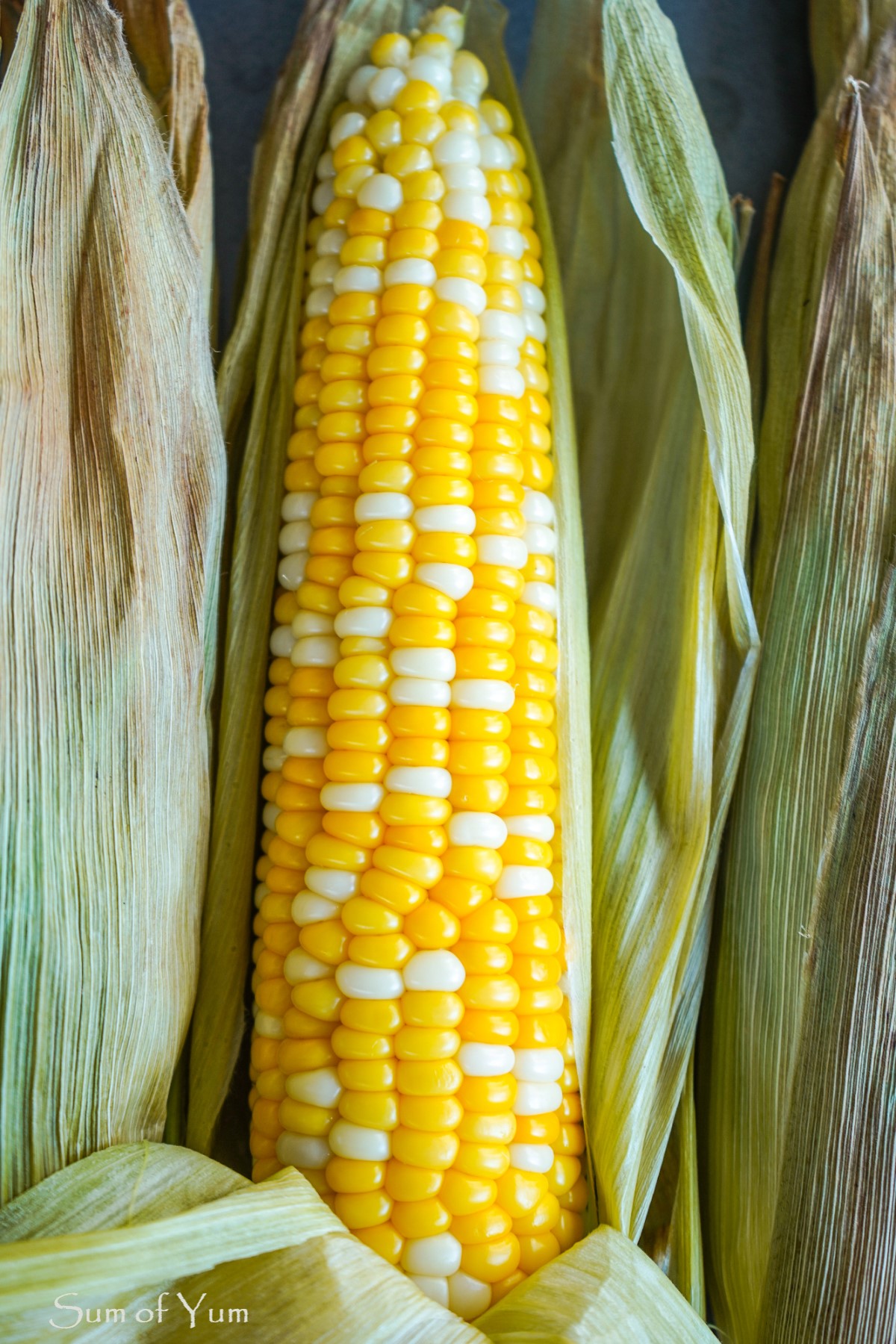 Roasted Corn in Husk