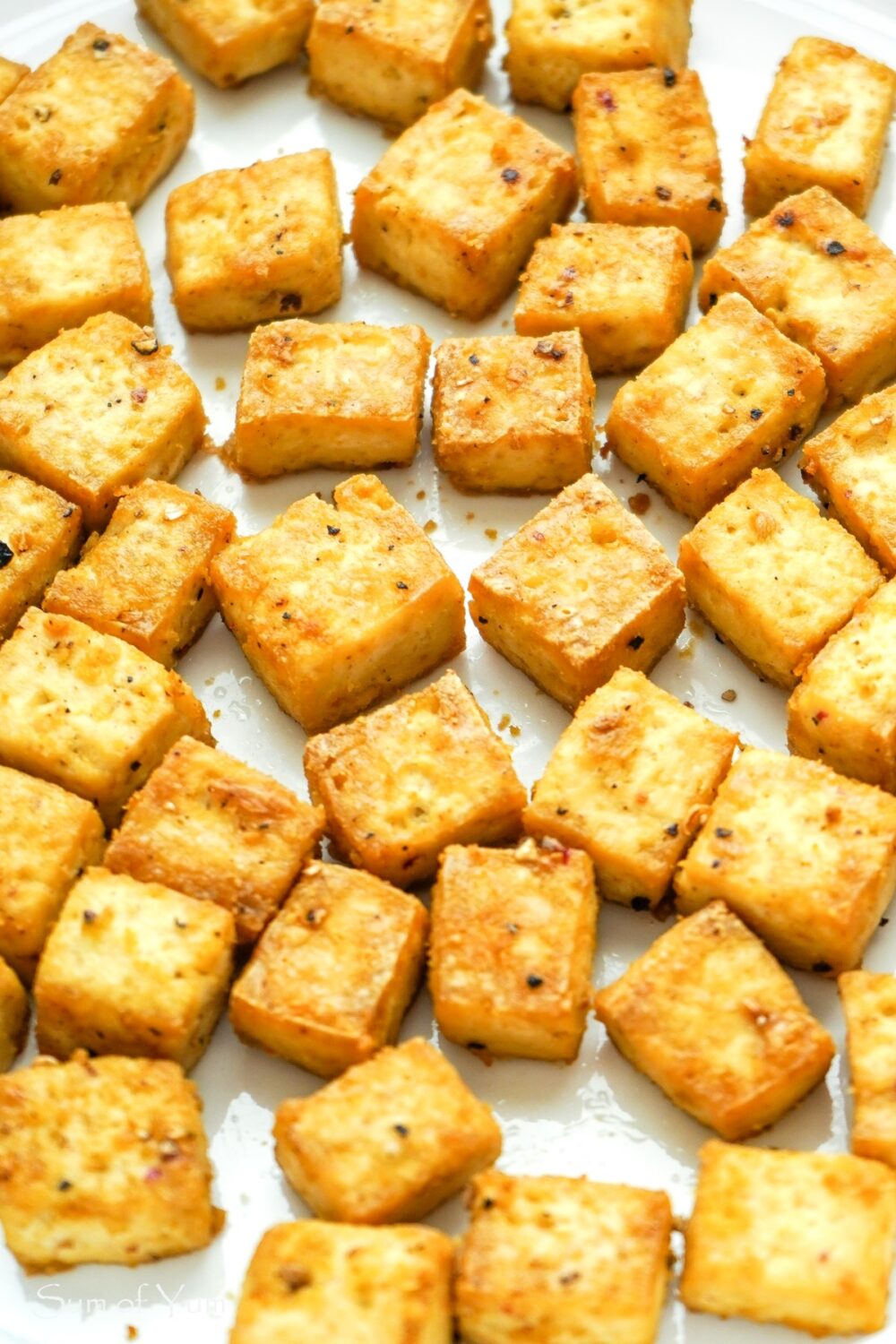Easy Baked Tofu - Sum of Yum