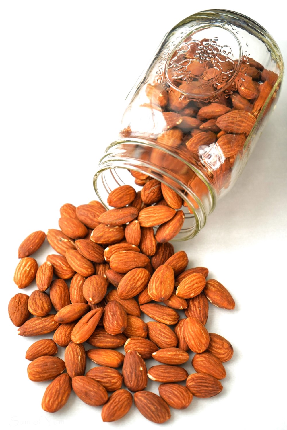 Jar of Roasted Almonds 