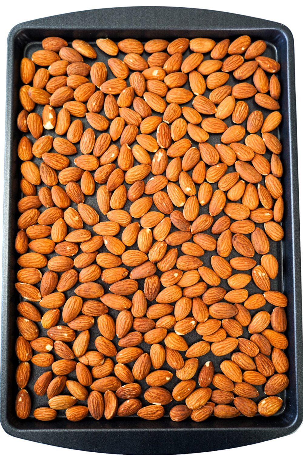 Dry Roasted Almonds Sum of Yum