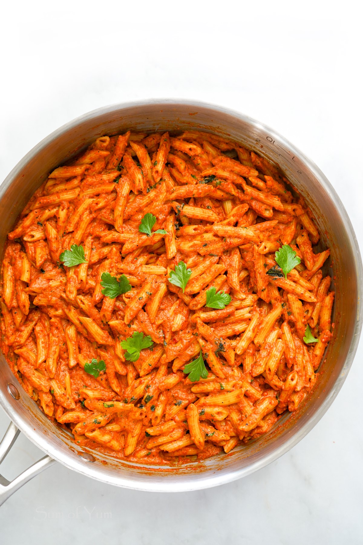 Pasta with Creamy Roasted Red Pepper Sauce 