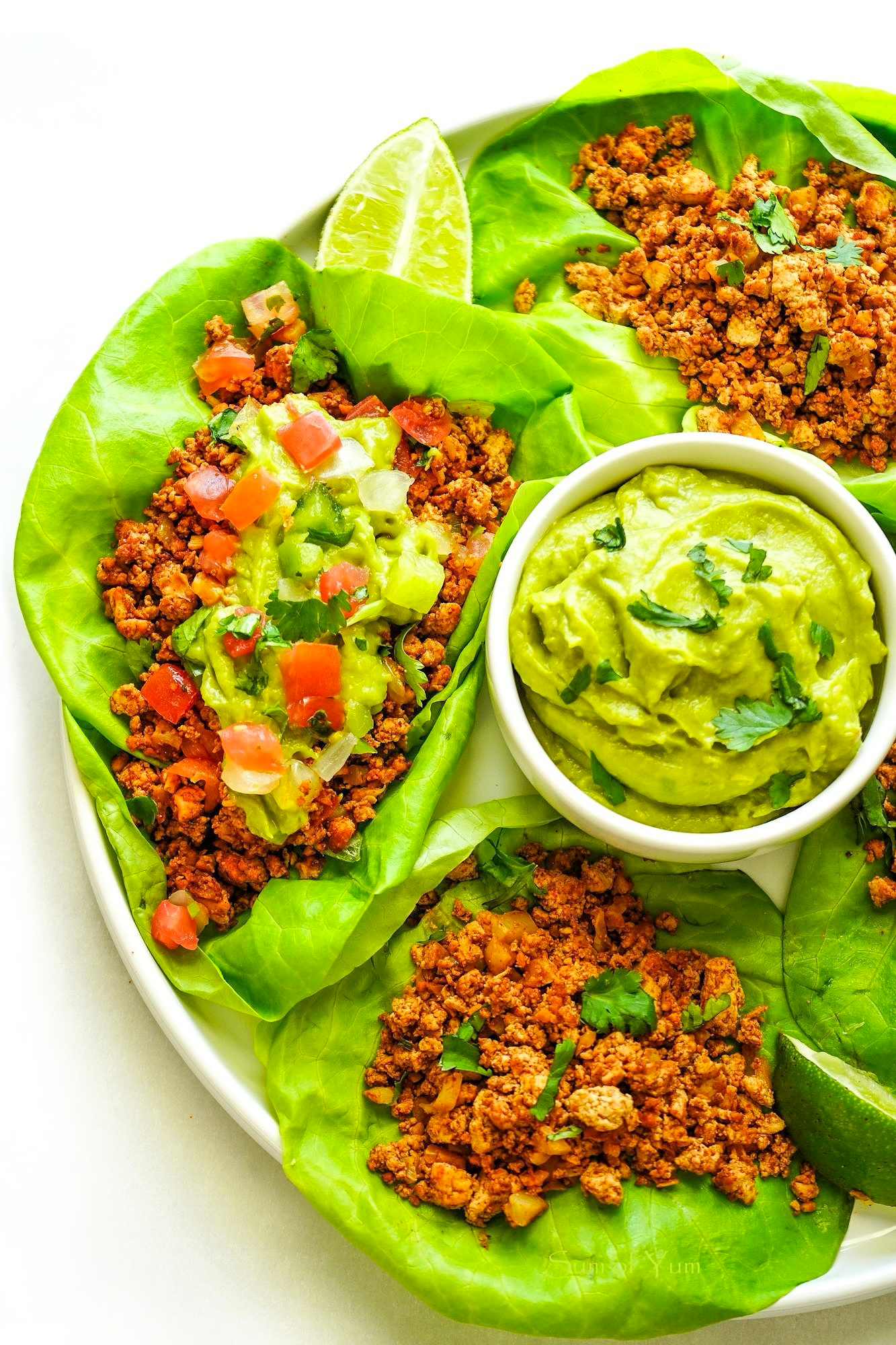 Lettuce Wraps Filled with Taco Toppings 