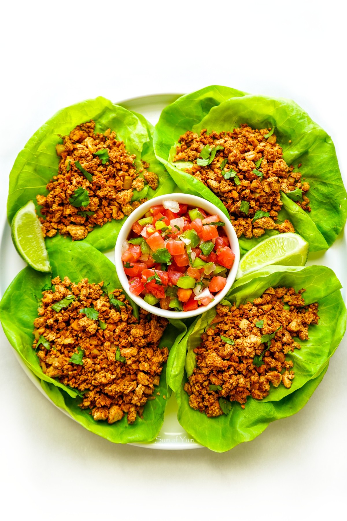 Taco Lettuce Wraps 