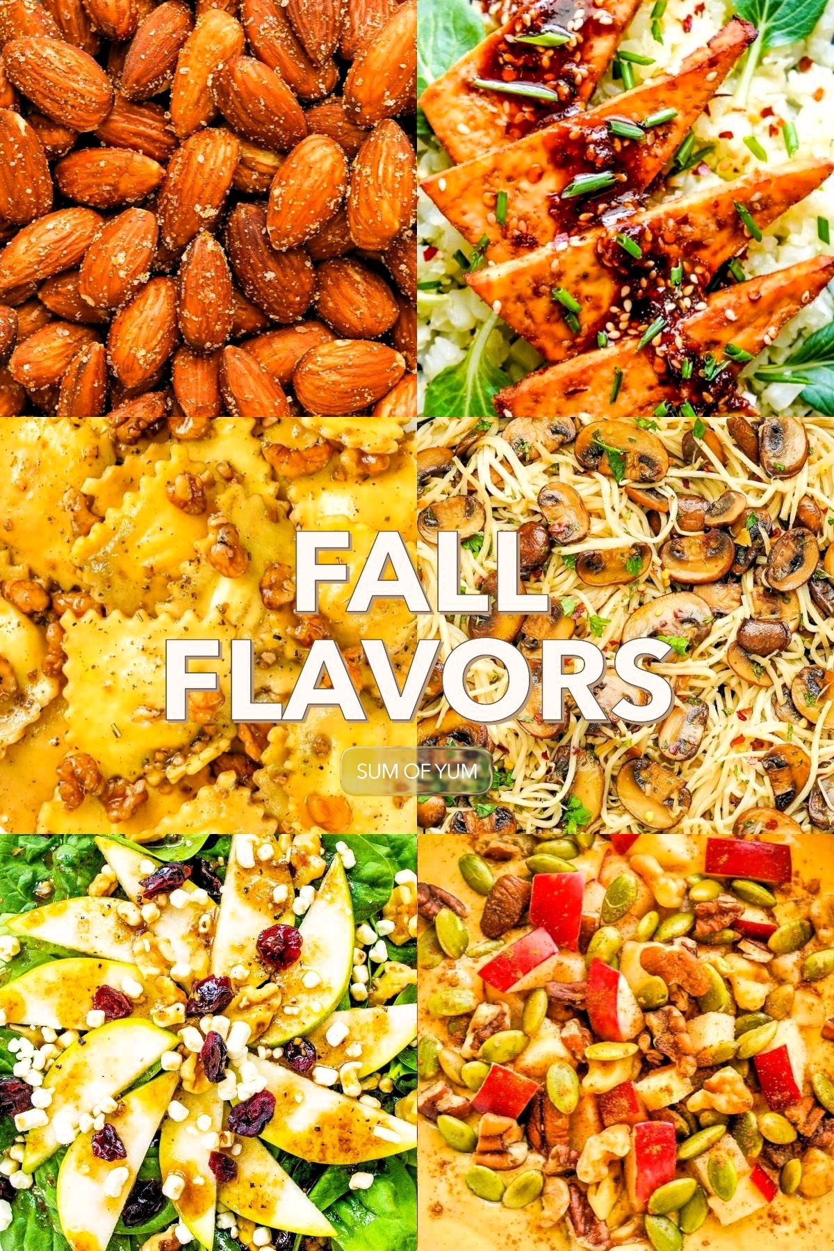 Fall Recipes 