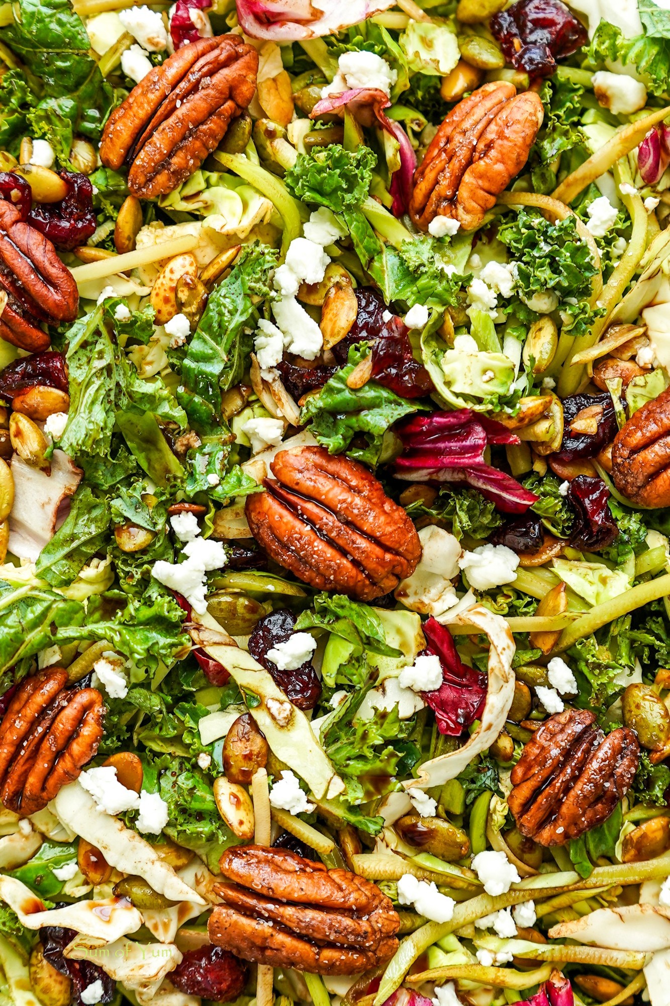 Maple Pecan Crunch Salad Ingredients