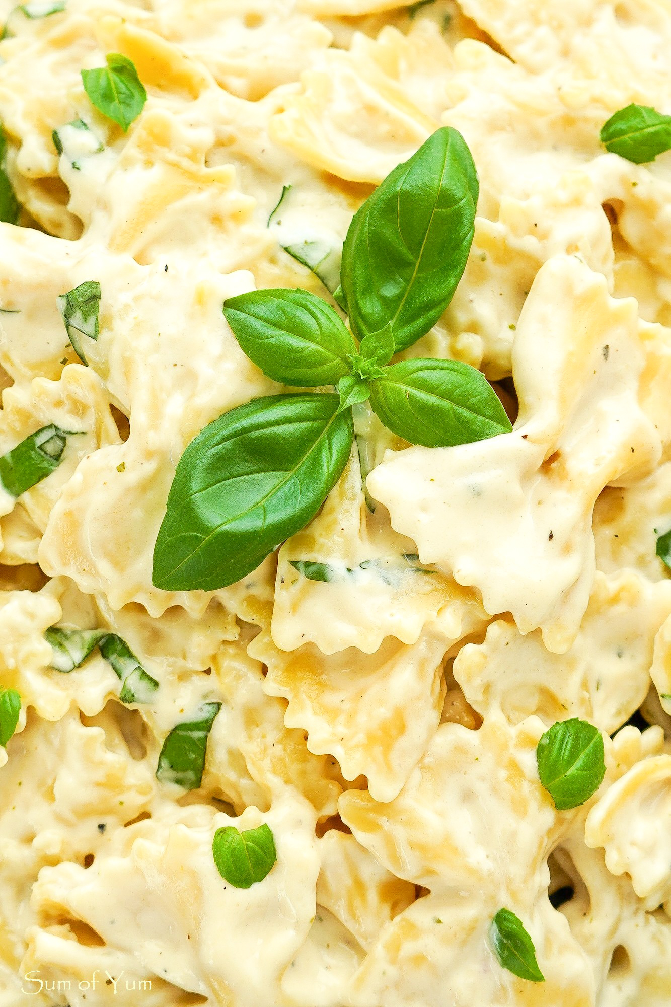 Cauliflower Alfredo Sauce
