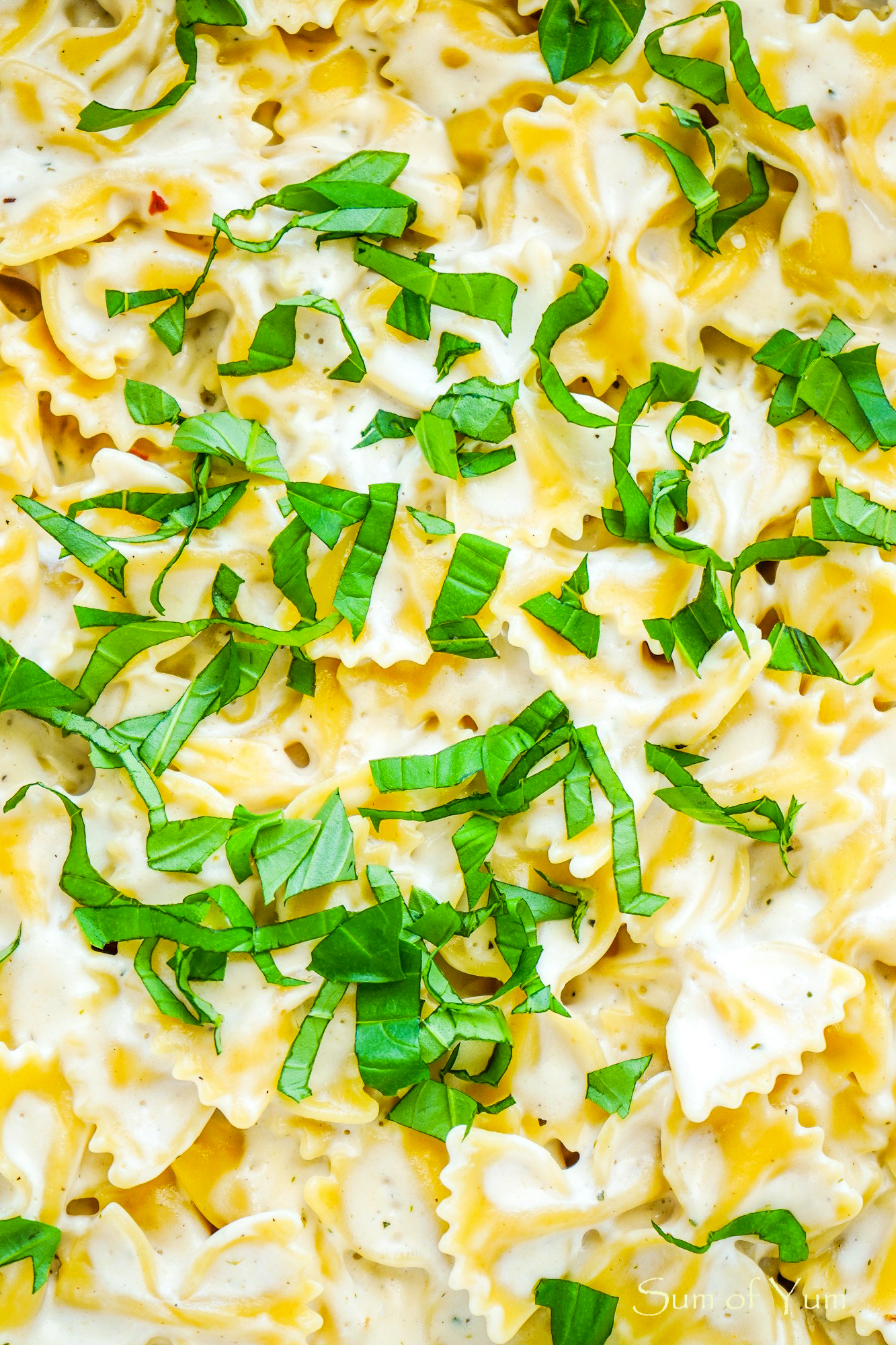 Cauliflower Alfredo Sauce with White Wine Garlic and Fresh Basil