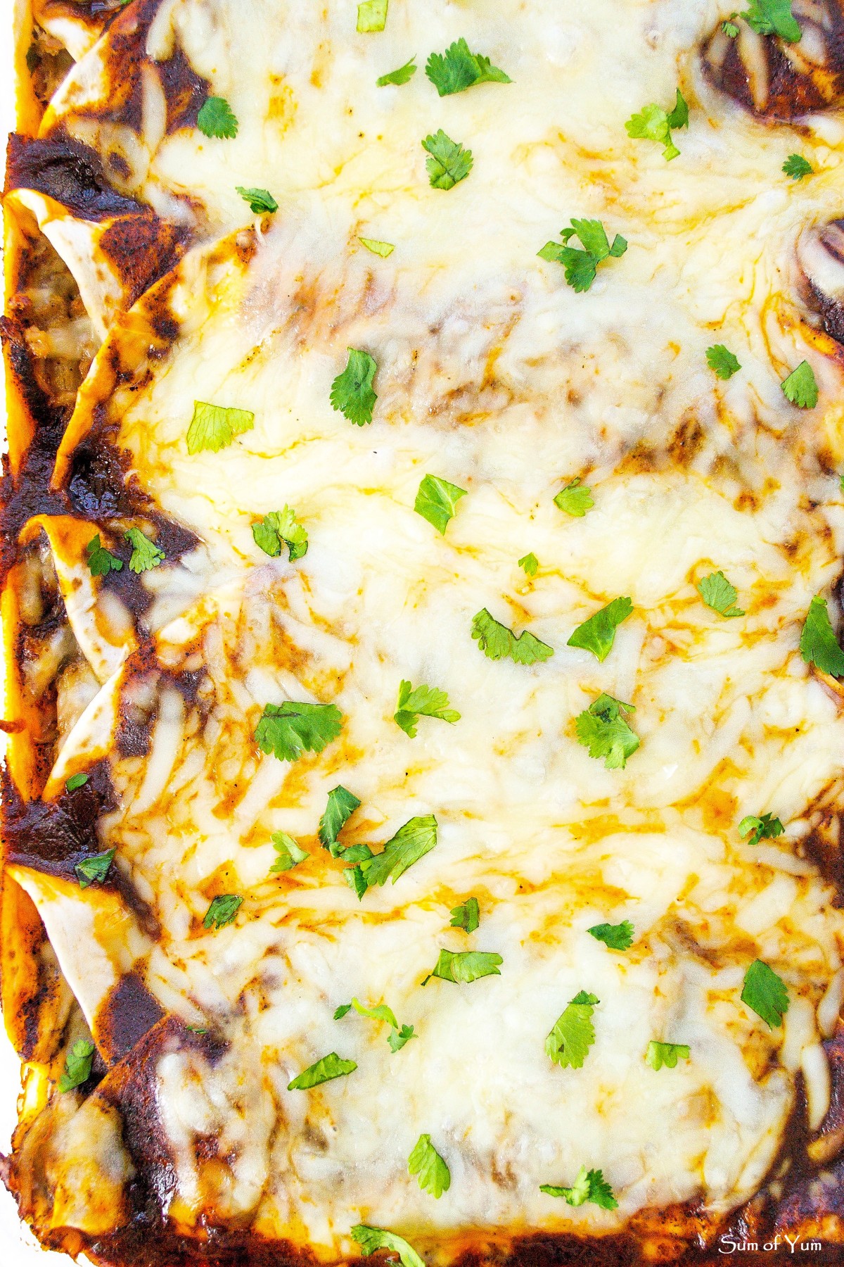 Enchiladas with Sauce 