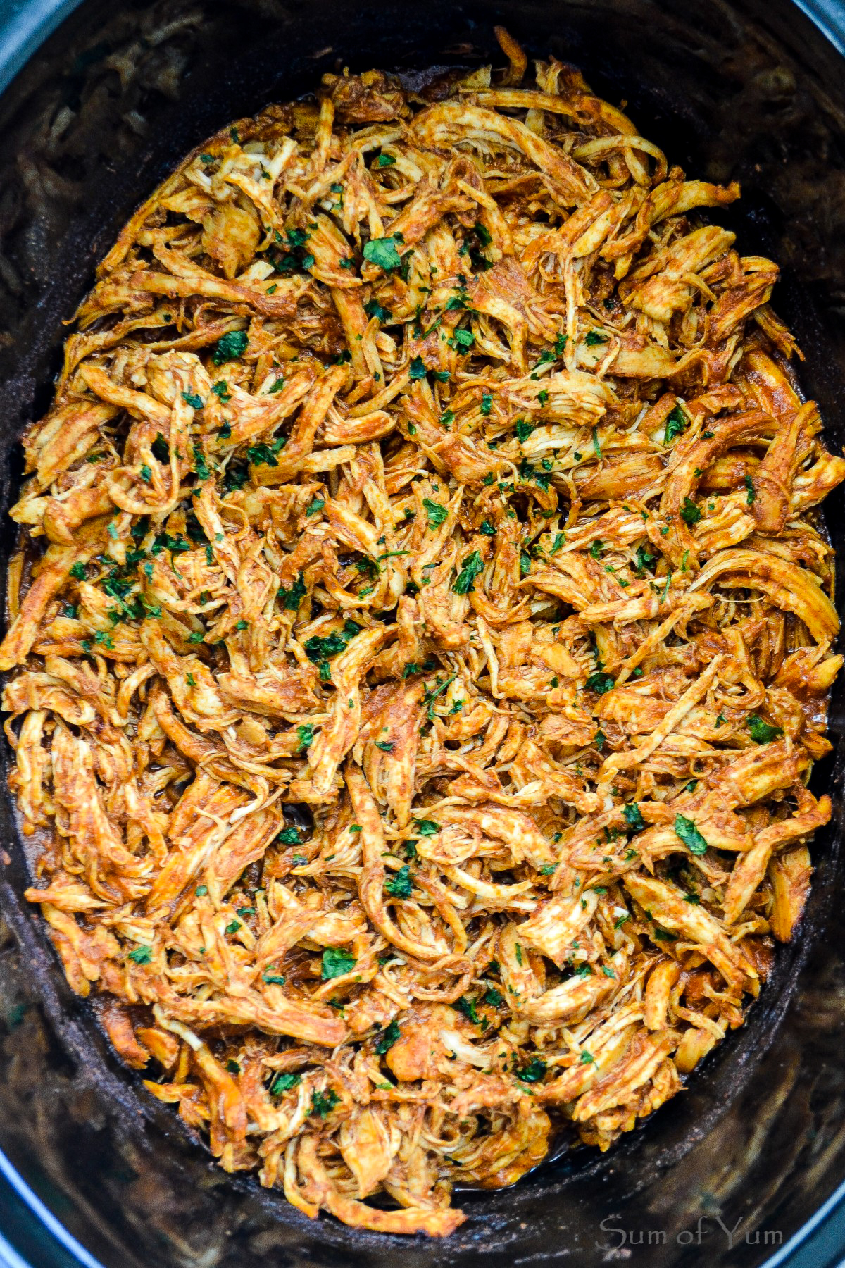 Mexican Shredded Chicken 