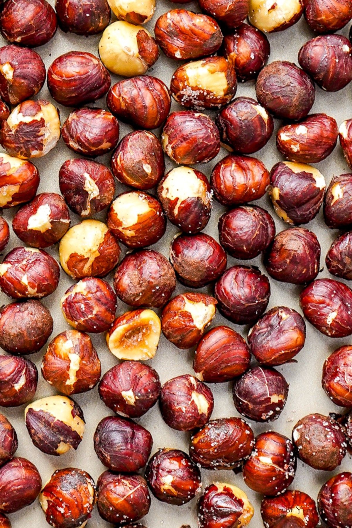 Roasted Filberts Recipe - Sum of Yum Roasted Filberts