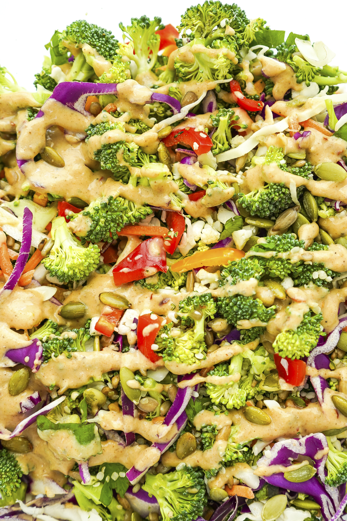 Creamy Sunflower Seed Dressing 
