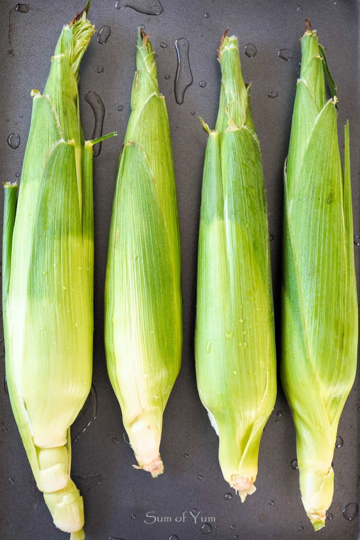 Fresh Sweet Corn on the Cob in Husks