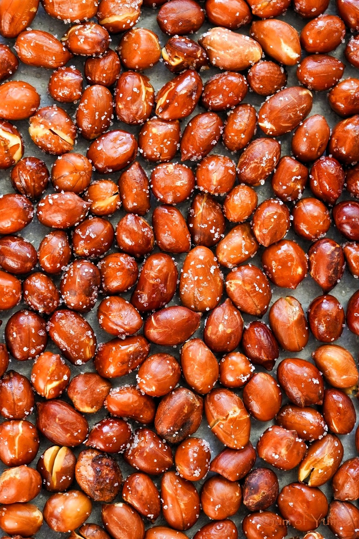 Roasted Spanish Peanuts to Make The Best Peanut Butter 